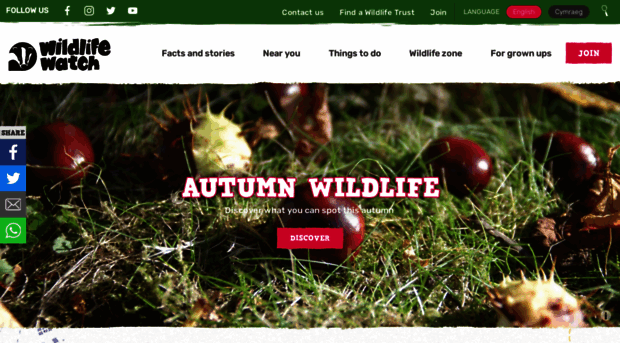 wildlifewatch.org.uk