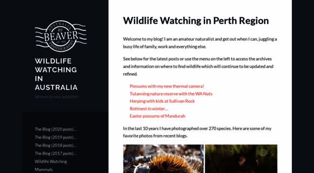 wildlifewatchingaustralia.wordpress.com