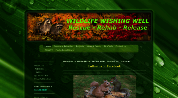 wildlifewishingwell.org