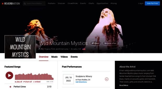 wildmountainmystics.com