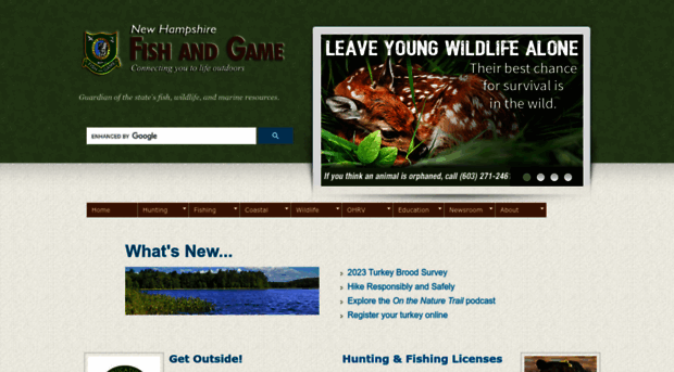 wildnh.com