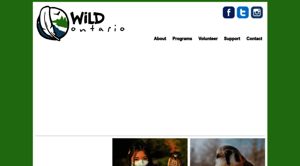 wildontario.ca