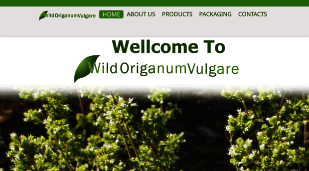 wildoriganumvulgare.com