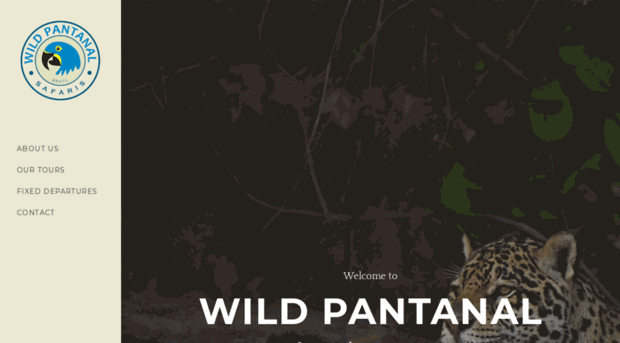 wildpantanal.com