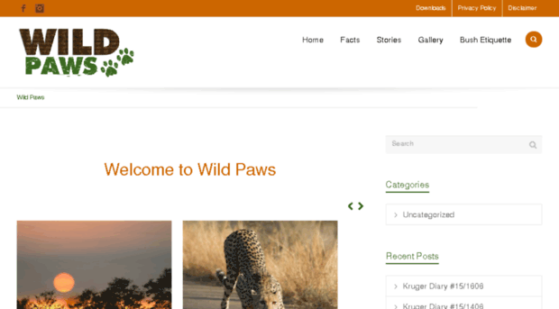 wildpaws.co.za