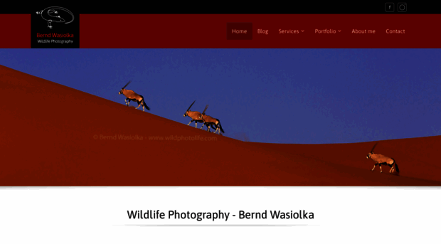 wildphotolife.com