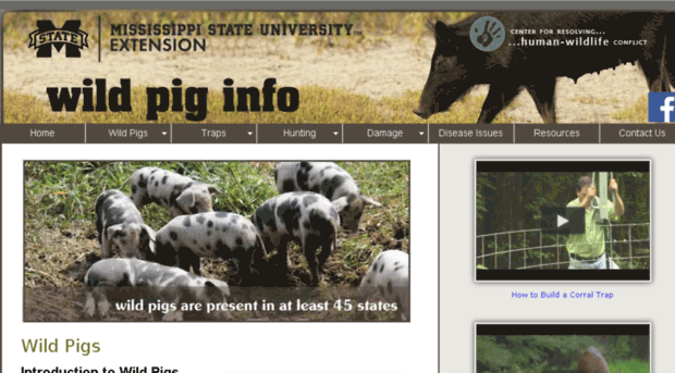 wildpiginfo.com