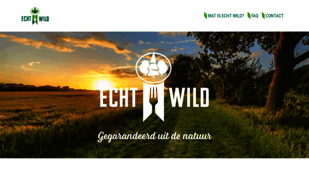 wildpromotie.nl