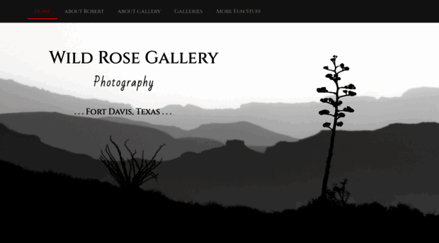 wildrosegallery.net