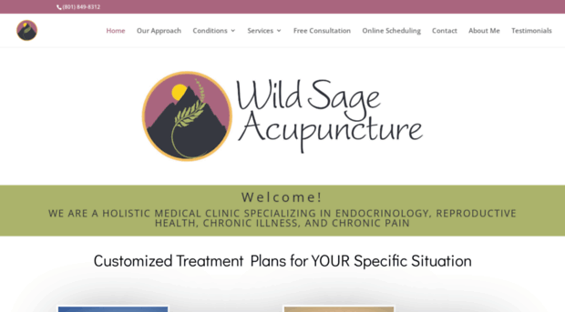 wildsageacupuncture.com