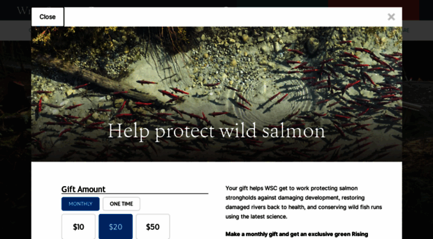 wildsalmoncenter.org