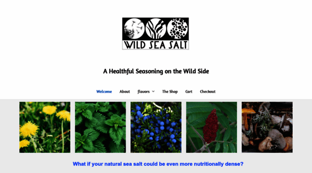 wildseasalt.com