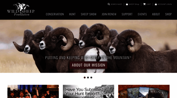 wildsheepfoundation.org