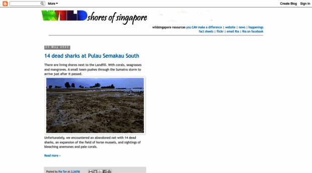 wildshores.blogspot.sg