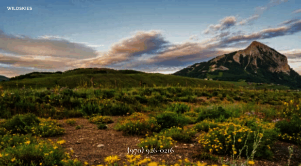 wildskies.com