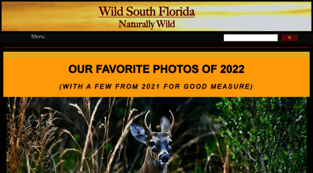 wildsouthflorida.com