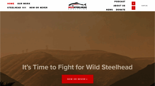 wildsteelheadcoalition.org