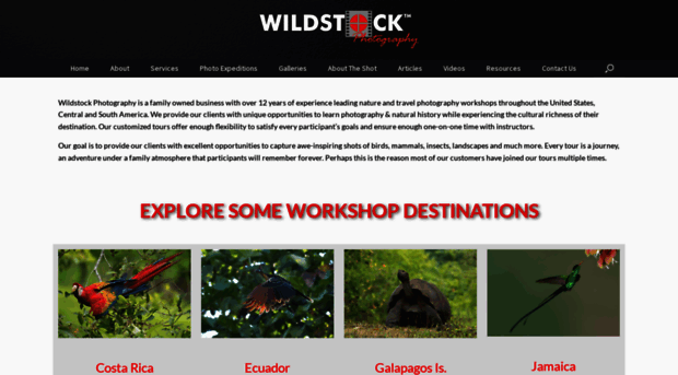 wildstockphotos.com