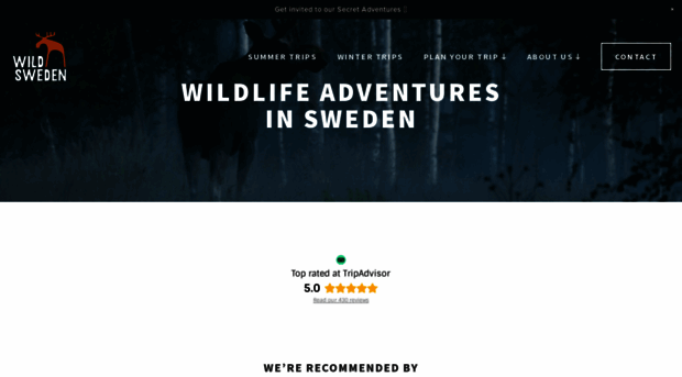 wildsweden.com