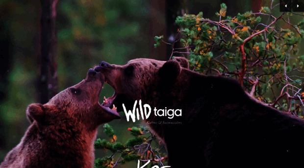 wildtaiga.fi