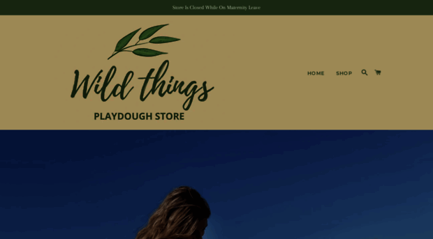 wildthingsplaydoughstore.com