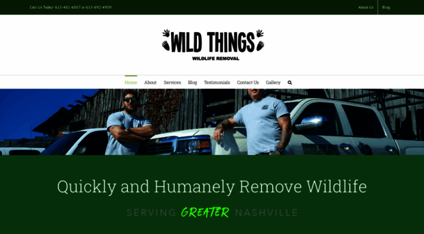 wildthingswildliferemoval.com