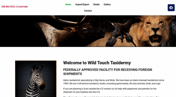 wildtouchtaxidermy.com