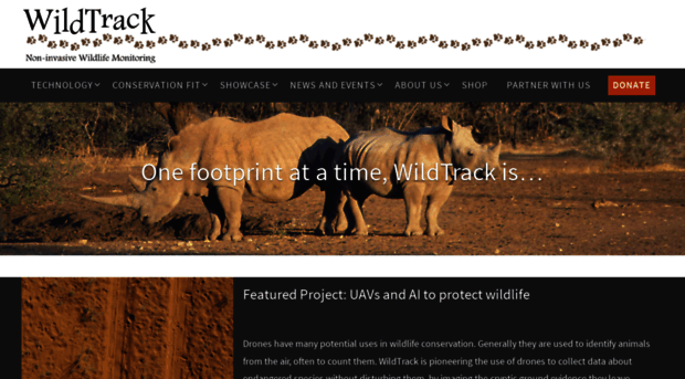 wildtrack.org