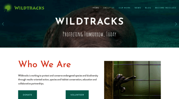 wildtracksusa.org