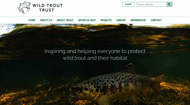 wildtrout.org