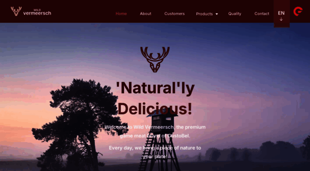 wildvermeersch.com