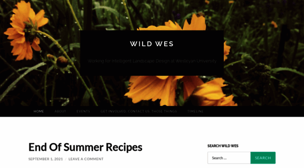 wildwesleyan.wordpress.com