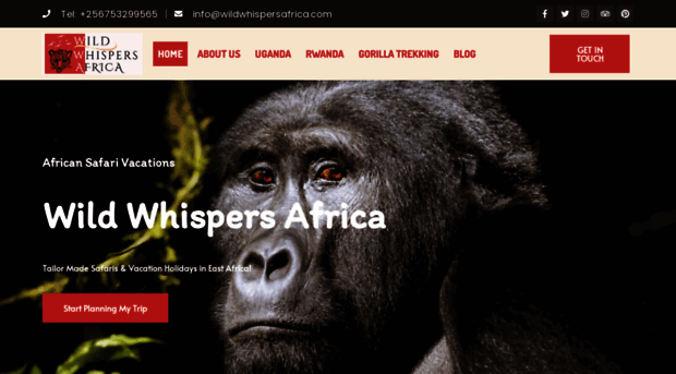 wildwhispersafrica.com