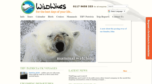 wildwings01.businesscatalyst.com