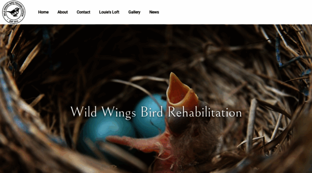 wildwingsbirdrehab.org