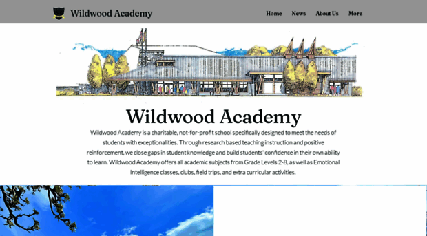 wildwoodacademy.com