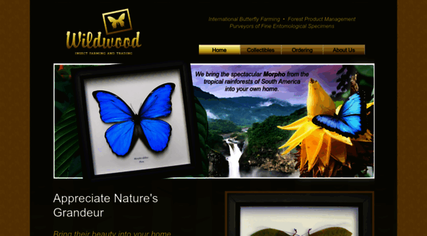 wildwoodinsecta.com