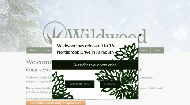 wildwoodmedicine.com