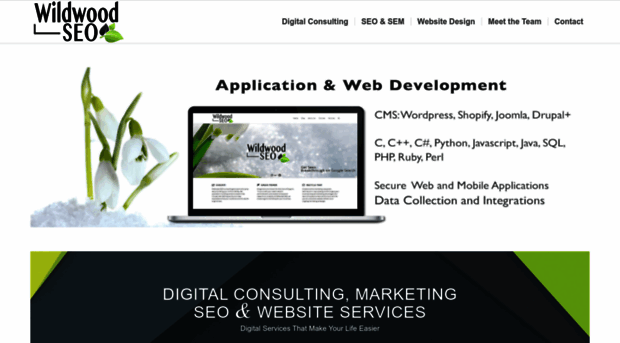 wildwoodseo.com