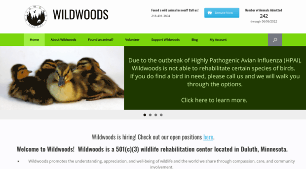 wildwoodsrehab.org