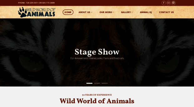 wildworldofanimals.org