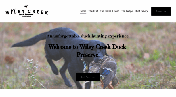 wileycreek.com