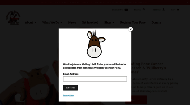 willberrywonderpony.org