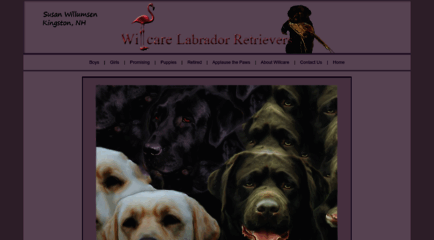 willcarelabradors.com