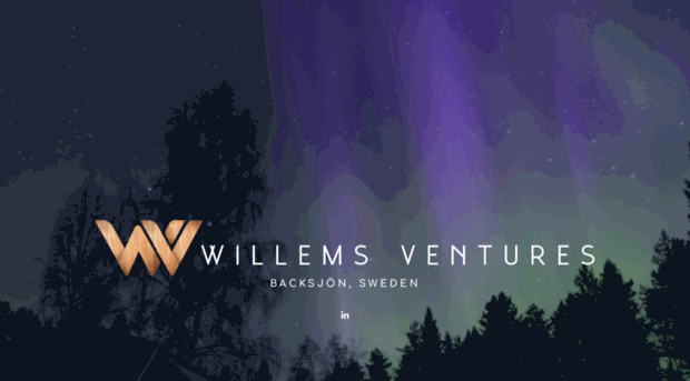 willems.ventures