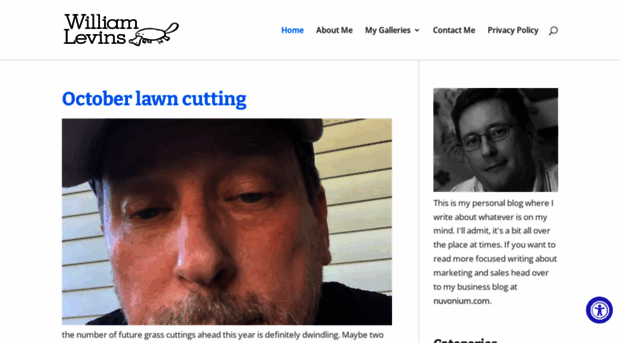 williamlevins.com