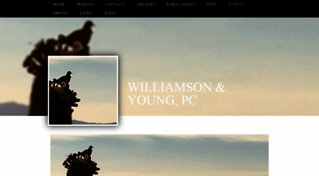 williamsonandyoung.com