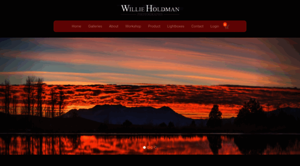 willieholdman.com