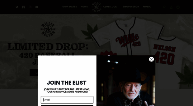 willienelson.com
