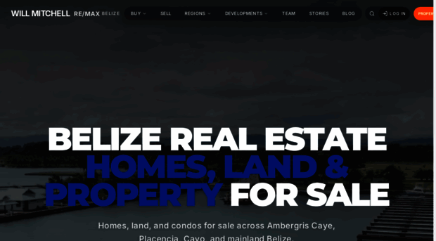 willmitchellrealestate.com